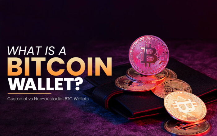 What Is A Bitcoin Wallet? | Custodial vs Non-custodial BTC Wallets