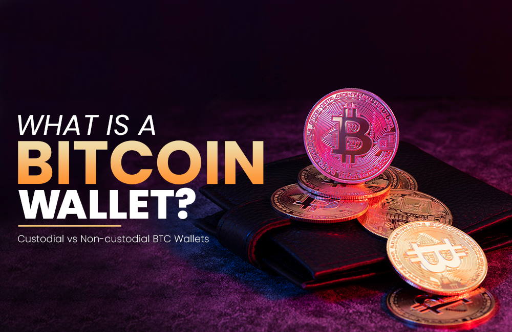 What Is A Bitcoin Wallet? | Custodial vs Non-custodial BTC Wallets